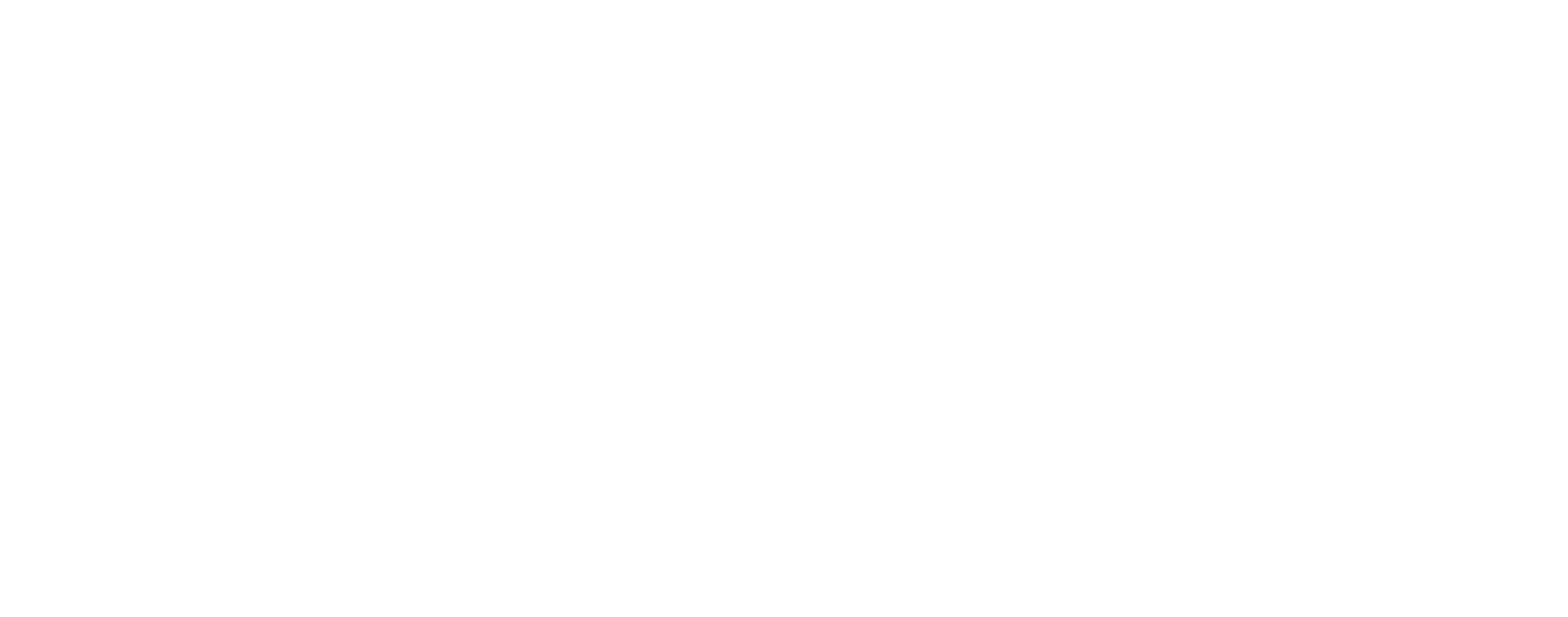 Noibit